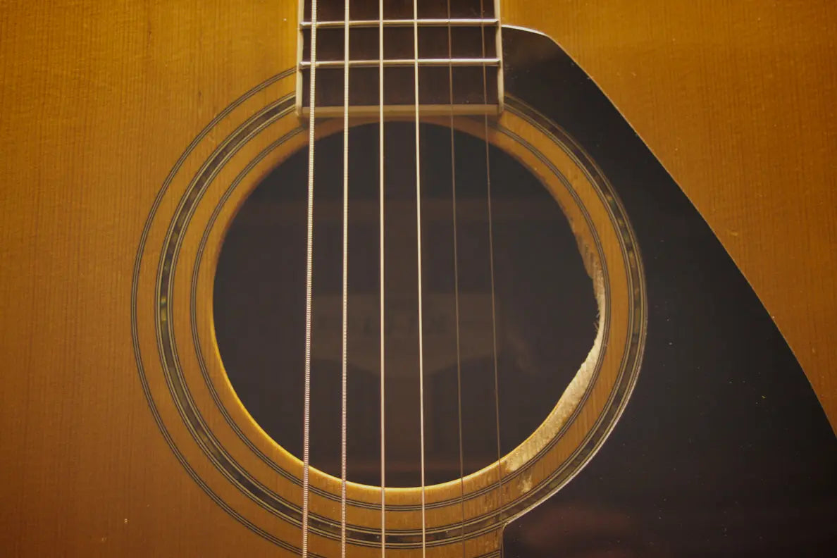 Cordes-pour-Guitare-Acoustique Guitares Perro